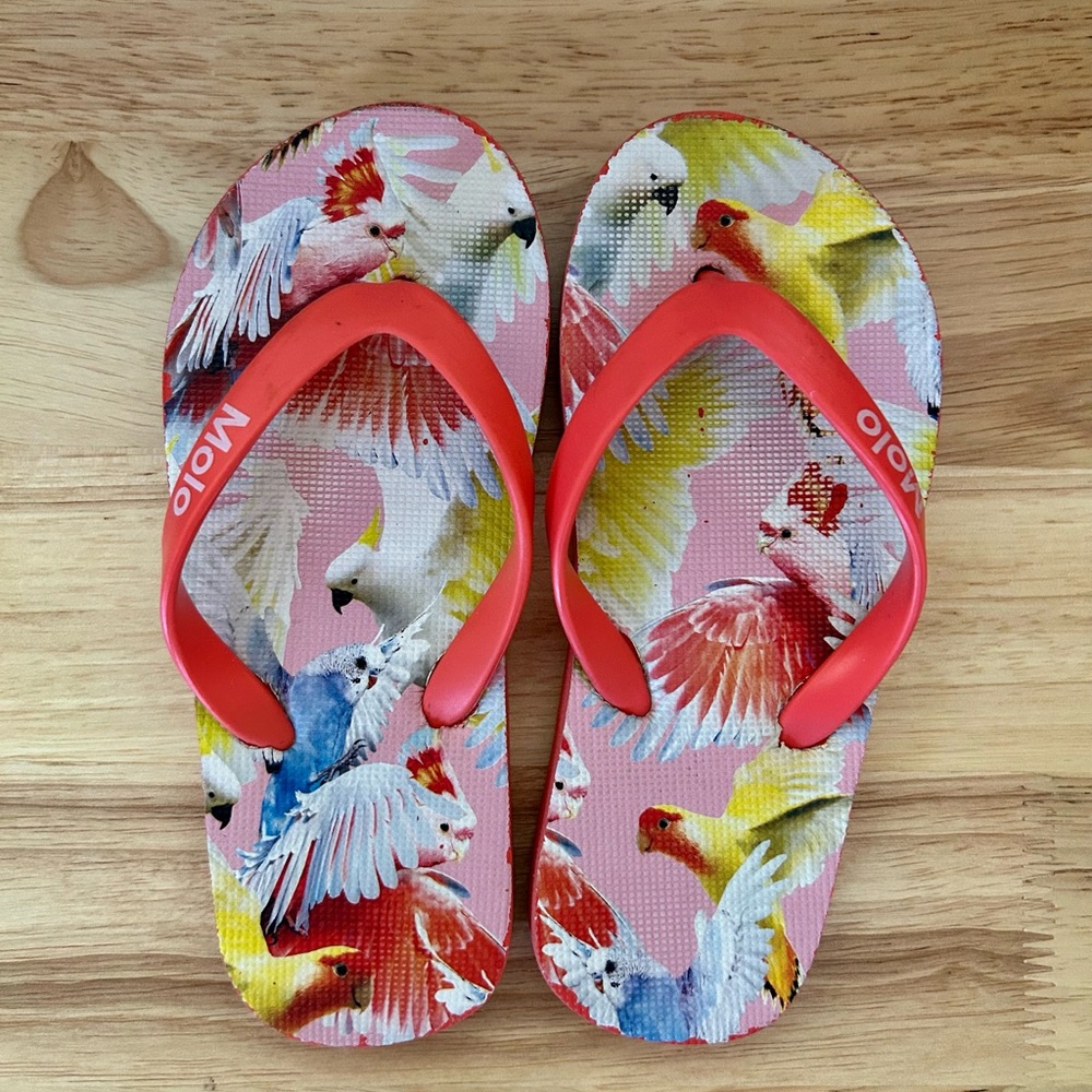 MOLO kids’ flip-flops Cockatoo print